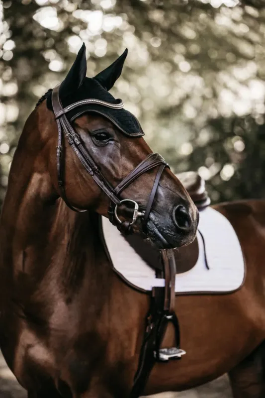 Bonnet Wellington Leather Kentucky - Poney - Noir Prix Cass