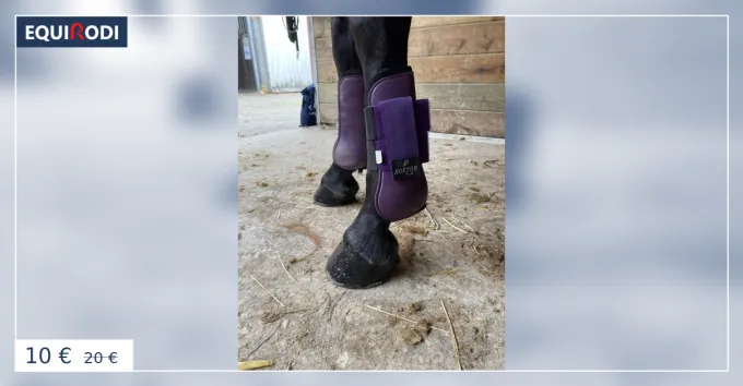 Seulement Aujourdhui Gutres Norton violettes taille cheval