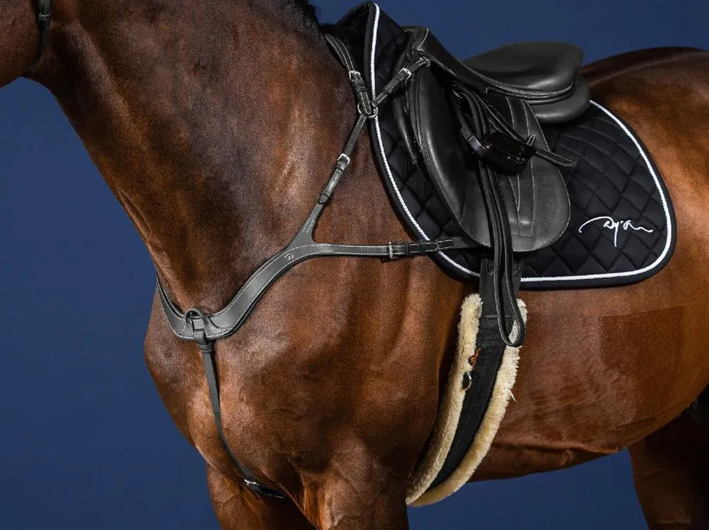 Prix Choc Collier De Chasse Anatomique US Collection by Dy'on - Cob - Noir