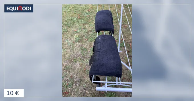 Gutres cheval compltes antrieurs Dernire Chance