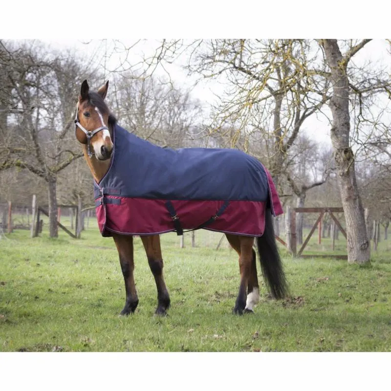 Acheter En Ligne EQUITHEME TYREX – Couverture pr High Neck 1200D matelasse MARINE/BORDEAUX 50G 125 CM/5&rsquo;9/175 cm