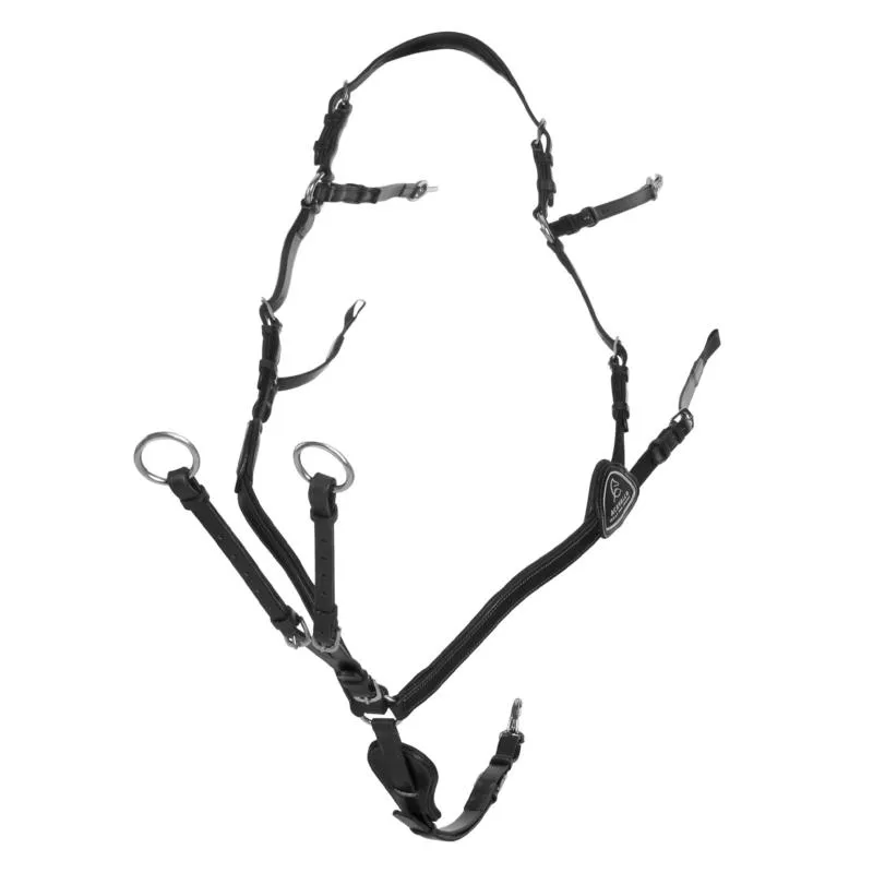 Prix Cass ACAVALLO - Collier de Chasse Anatomique 5 Points en Cuir Italien COB NOIR