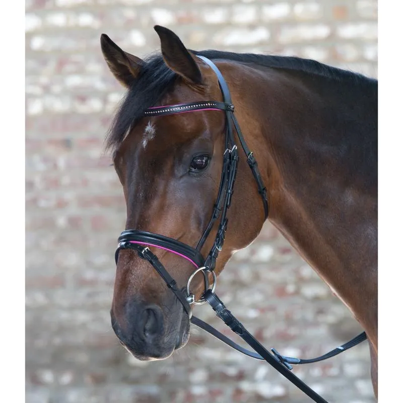 Commander Maintenant WALDHAUSEN - Bridon en Cuir Frontal et Muserolle Colore DIAMOND MINI SHETLAND ROSE