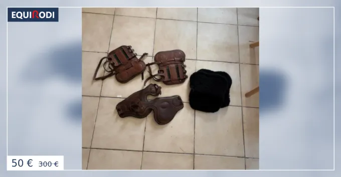Lot protections cheval Gutres Forestier + Protge-boul Livraison Gratuite