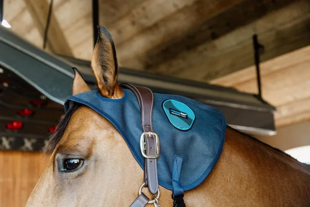 Protge-nuque Magntique Recuptex Kentucky - Cheval - Marine Offre Du Jour