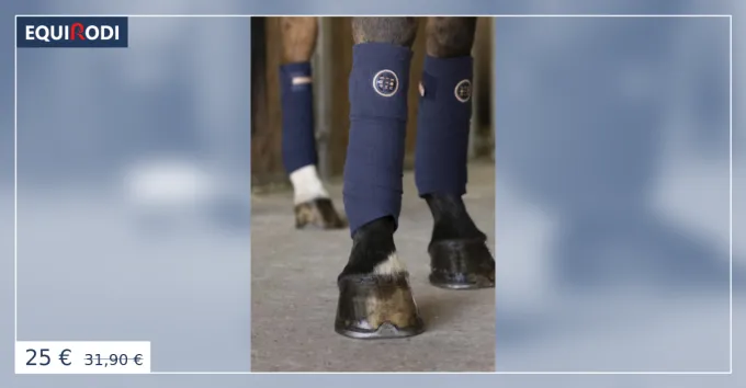 Paiement Scuris Bandes de polo EQUITHME Skolstart Marine