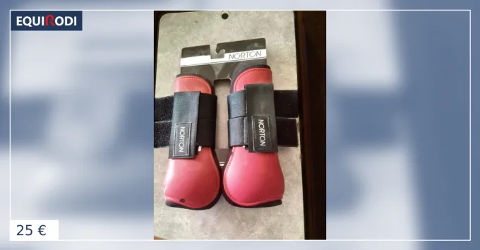 Offre Du Jour Gutres Norton neuves