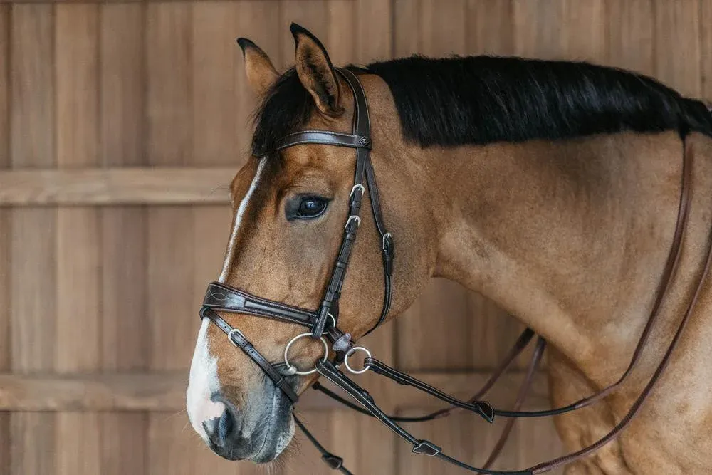 Usine Directe Bridon Working by Dy'on avec libert de mouvement - Cheval - Marron