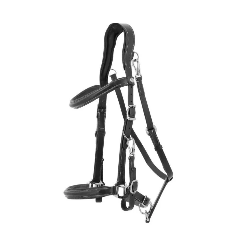 Retour Gratuit NORTON - Bridon Licol en Cuir pour la Randonne TREKKING COB NOIR