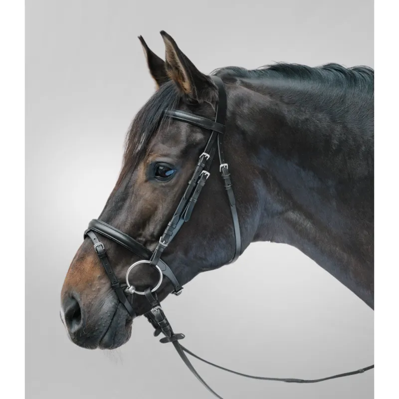 WALDHAUSEN - Bridon Cuir Muserolle Combine LIFESTYLE PREMIER PRIX MINI SHETLAND TOUT BRUN Pas Cher