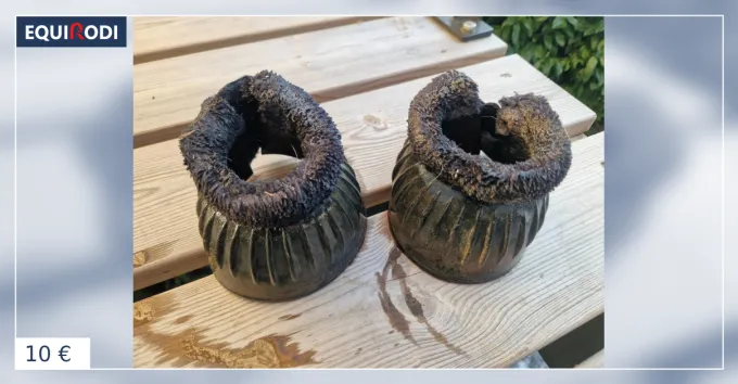 Cloches Seulement Aujourdhui