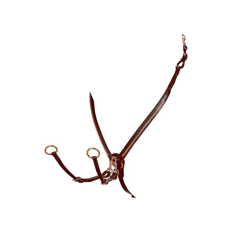Soldes Collier de Chasse Clincher en Cuir avec Martingale, EQUESTRO NOIR Clincher ARGENT PONEY