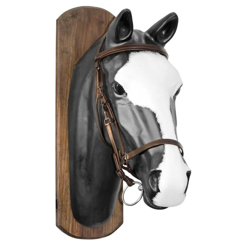 SUPREME - Bridon combin licol en cuir pour la randonne COB NOIR (CHEVAL en STOCK) Retour Gratuit
