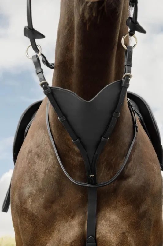 Affaire Saisir Martingale Pleine en Cuir Souple Dy'on New English Collection - Grand cheval - Noir