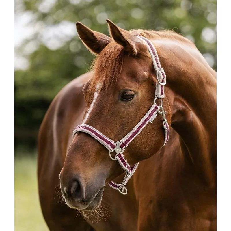 WALDHAUSEN - Licol synthtique doubl velours rglable ATHELTIC PONEY ROUGE/BEIGE Vente Flash