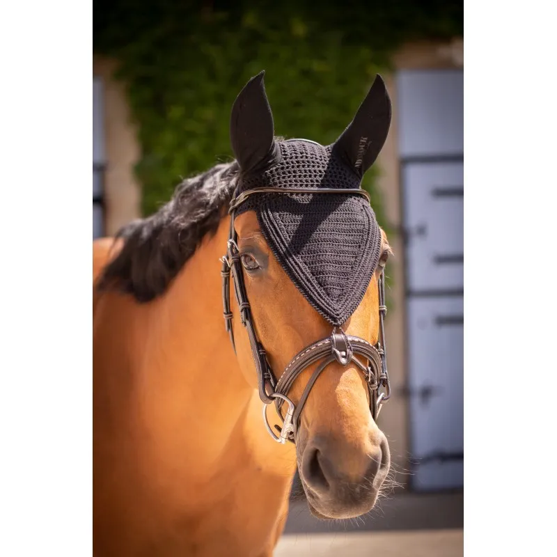 Expdition Rapide PADDOCK SPORTS - Bonnet long en coton avec attache de muserolle NOIR COB