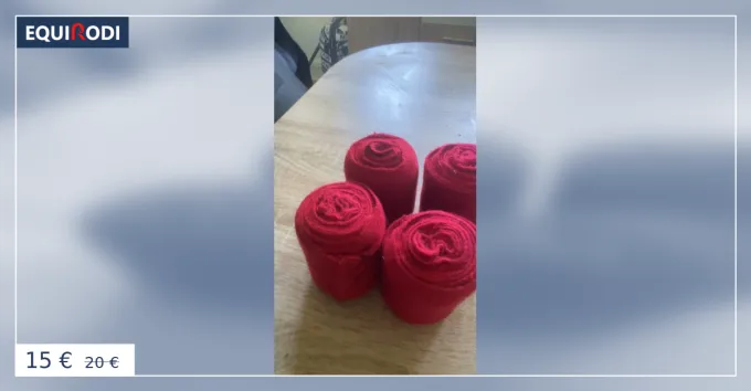 Offre Spciale Bandes de polo rouge