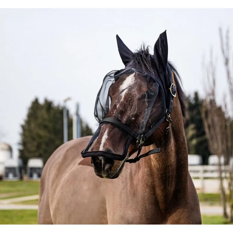 Achat Immdiat EQUITHEME – Licol + Masque anti UV anti-mouche Intgral PONEY