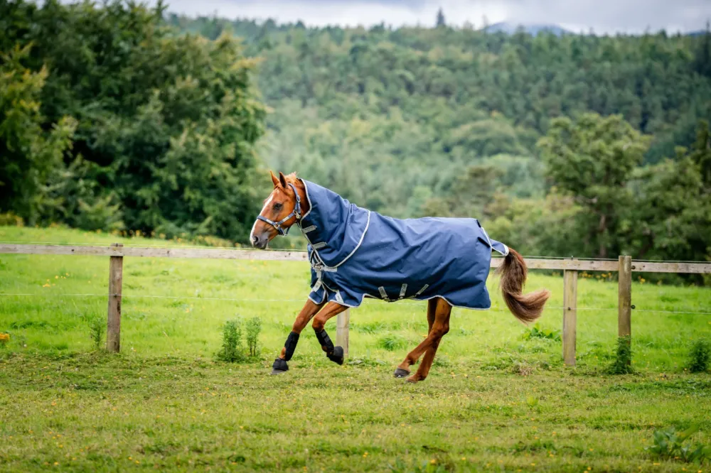 Remise Couverture Horseware Amigo 1200D Turnout Plus 50g - 160 cm - Marine / gris titane / argent