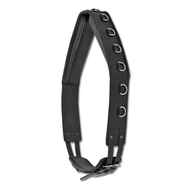 WALDHAUSEN - Surfaix pour longer PRO en Cuir Matelass 13 Anneaux Offre Limite