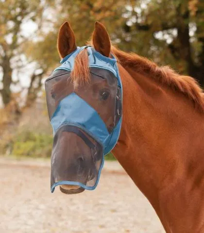 Pas Cher Bonnet anti-mouche Premium sans oreilles - Waldhausen - Noir - Poney