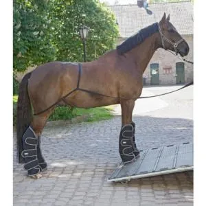 Guides d'Aide la Monte dans le Van du Cheval , WALDHAUSEN Commander Maintenant
