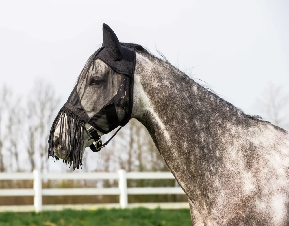 Prix Choc Masque anti-mouches lger franges Riding World