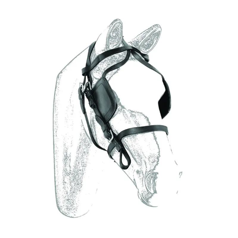 Commande En Gros Bridon de Calche en Cuir Umbria Equitazione - Poney - Noir