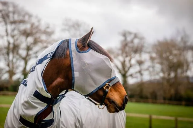 Masque anti-mouches Mio flymask - Horseware - Pack de 5 units - LUNAR ROCK/MARINE - PONY Livraison Express