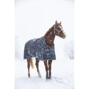 Retour Gratuit EQUITHEME TYREX - Couverture de pr 1200D impermable matelasse 300G