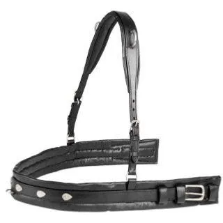 Bricole et Surcou d'Attelage en Cuir de buffle, TATTINI Paiement Scuris