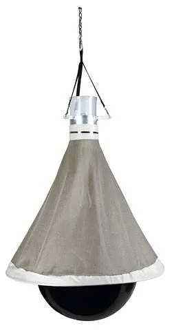 Pige taon TAONX ECO Promotion Saisonnire