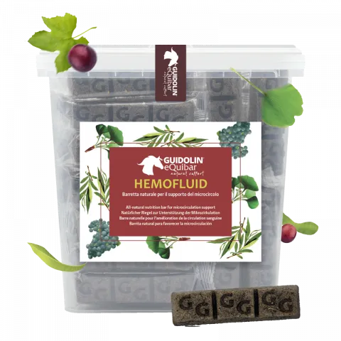 Affaire Saisir Equibar Hemofluid 2kg - Guidolin