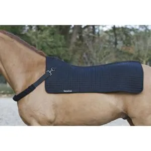 Expdi Aujourdhui BACK ON TRACK -Tapis de dos en Welltex ROYAL back warmer
