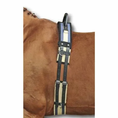 Surfaix avec poigne - Beige - Shetland Offre Limite