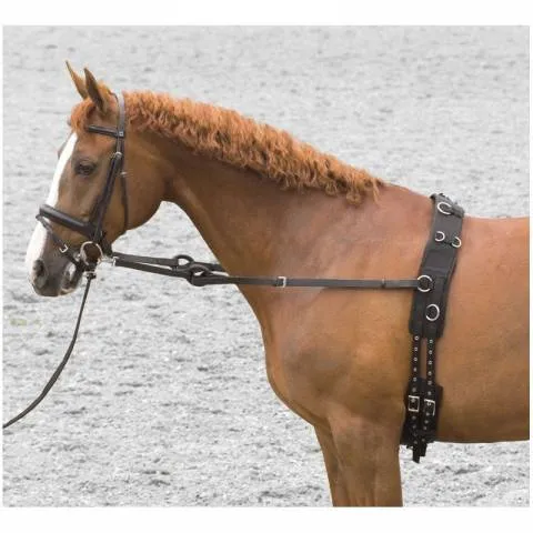Enrnement Pirelli Riding World Pas Cher