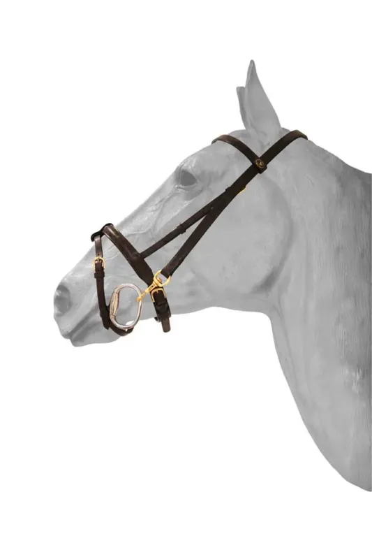 Bridon de prsentation mousqueton HFI - Cob - Noir Dernire Chance