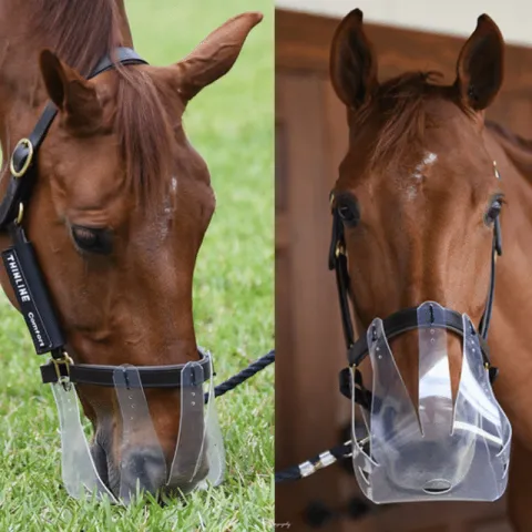 Masque anti-pturage flexible ThinLine - Cob / Cheval - Limitation leve/Fourbure/etc. Promotion