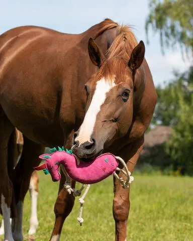 Prix Rduit Jouet pour cheval Licorne - QHP - cologique et rsistant - Rose - Unique