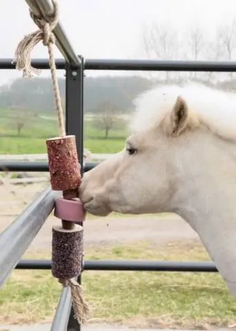 Prix Choc Jouet en bois relaxant avec pierre sel sammy - Kentucky - Unique