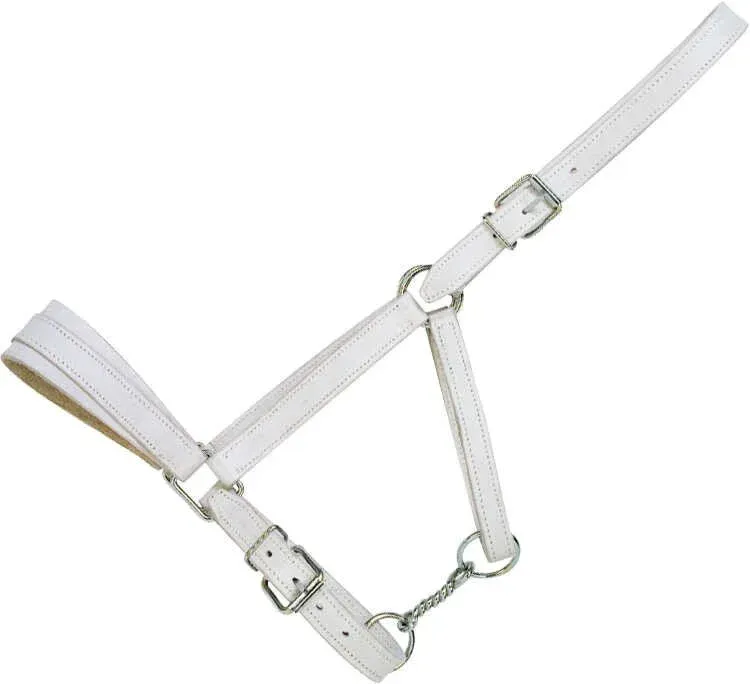 Promotion Saisonnire Licol Norton Club cuir chrom - Cheval de trait
