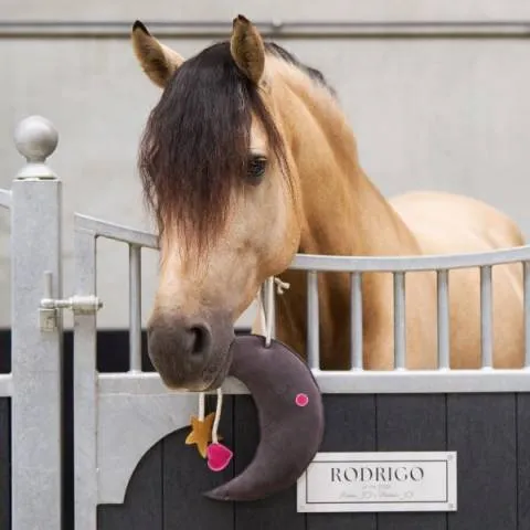 Jouet de box Moony - IMPERIAL RIDING - Marron - Unique Retour Gratuit