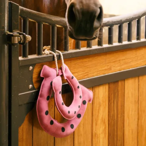 Jouet de box Fer cheval Buddy Horseshoes - Imperial Riding - Rose Remise