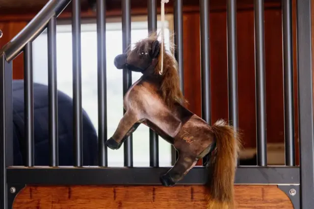 Jouet de boxe Poney Tableux - Kentucky - Marron - Unique Prix Promo