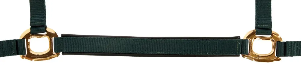 Populaire Licol TopLine Covalliero - Poney - Vert fort