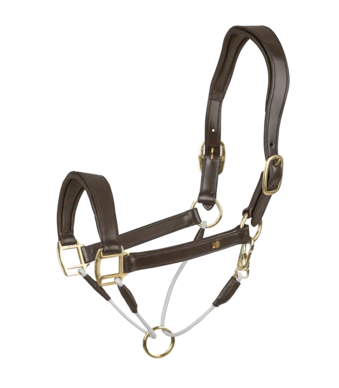 Achetez Aujourdhui Licol en cuir Waldhausen S-Line Royal - Cob - Marron
