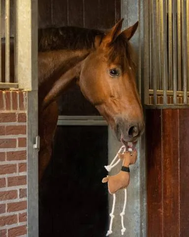 Jouet pour cheval Rudolph - QHP - cologique et ludique - Marron - Unique Authentique