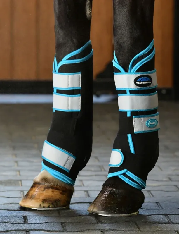 Gutres de repos renforces Weatherbeeta Therapy-Tec - Cob - Noir / bleu Quantit Limite