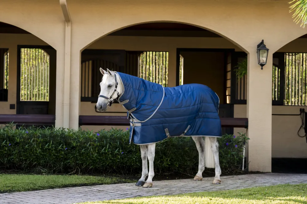 Couverture d'curie Horseware Amigo Ripstop Insulator Plus 550g - 140 cm - Marine / gris titanium Paiement Scuris
