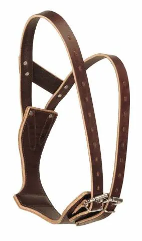 Collier miracle collar - Cuir trait - BRUN - S Promotion